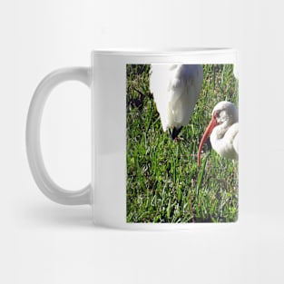 American White Ibis Mug